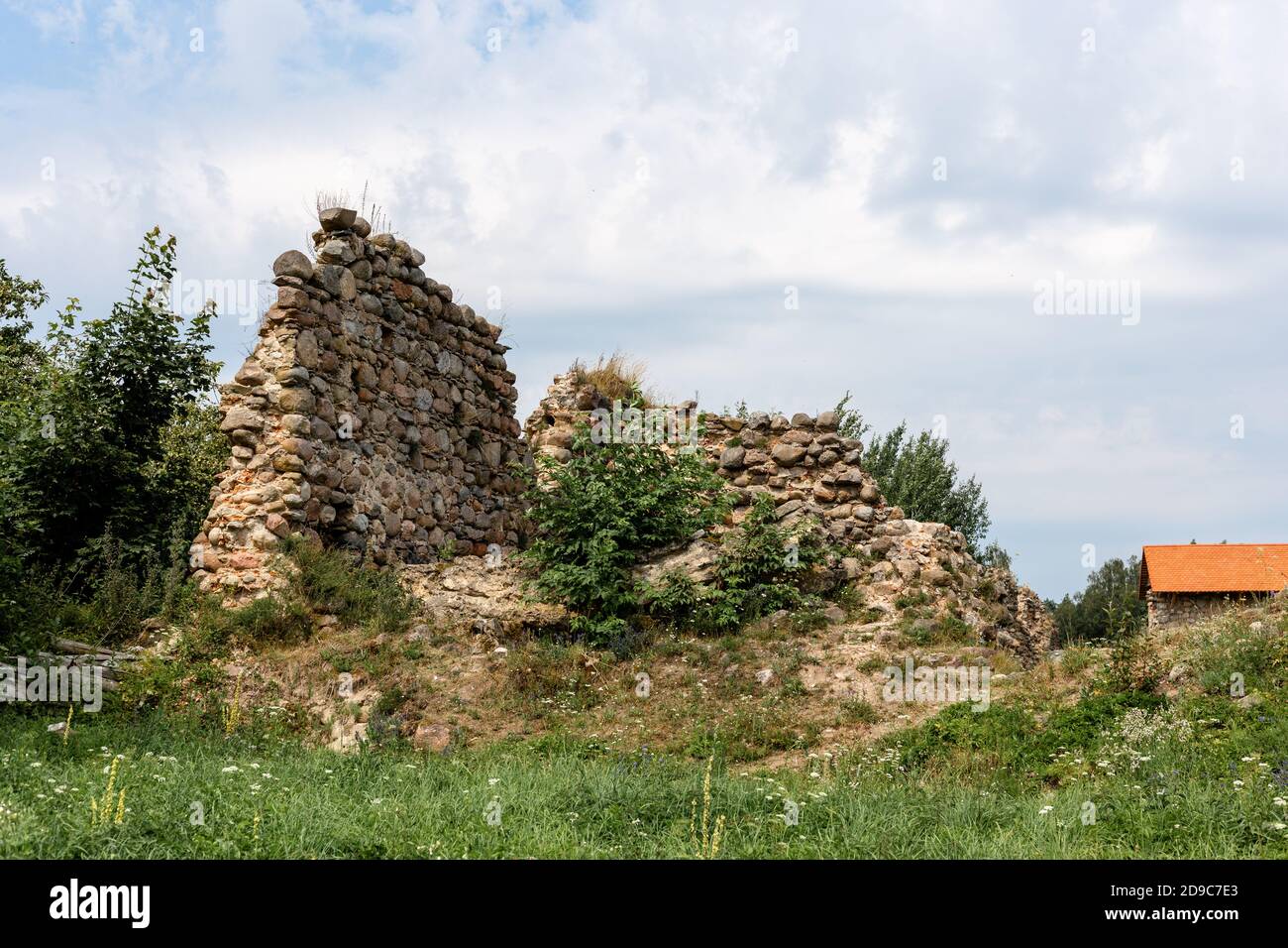 Cicogna in un nido costruito su un alto pilastro Foto Stock