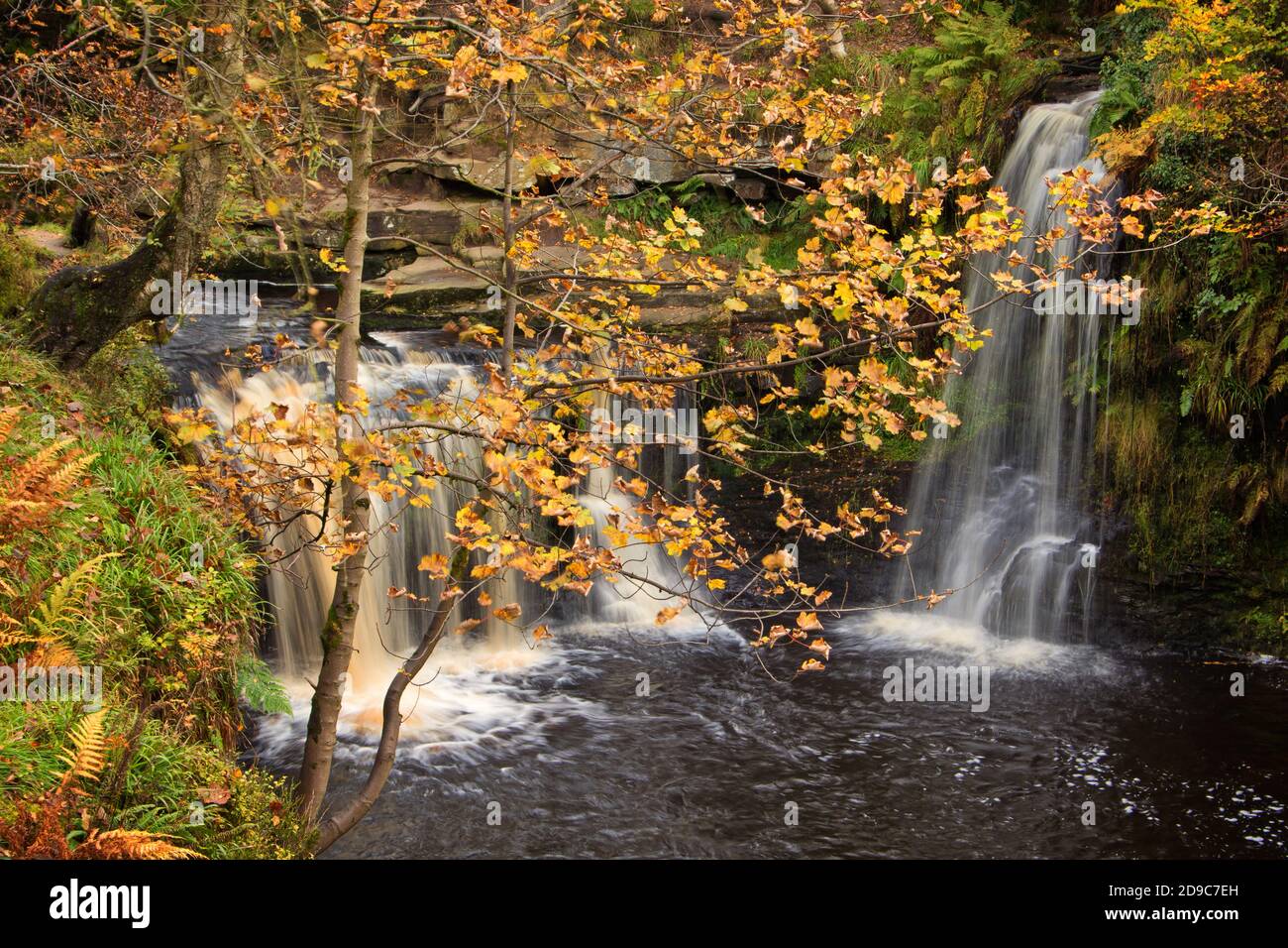 I colori autunnali avvolgono le due cascate di Lumb Falls Foto Stock