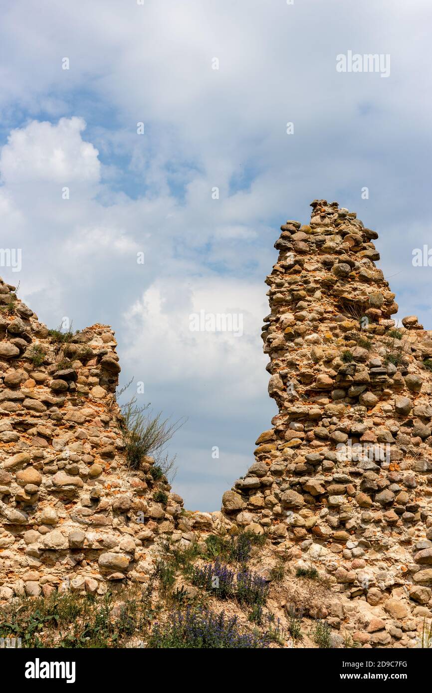 Cicogna in un nido costruito su un alto pilastro Foto Stock
