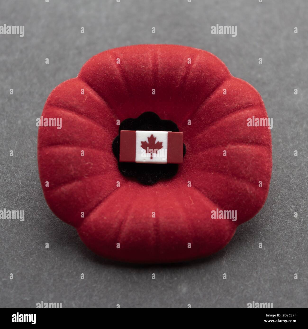 Papavero canadese per il giorno della memoria con la bandiera del Canada pin sopra sfondo scuro Foto Stock