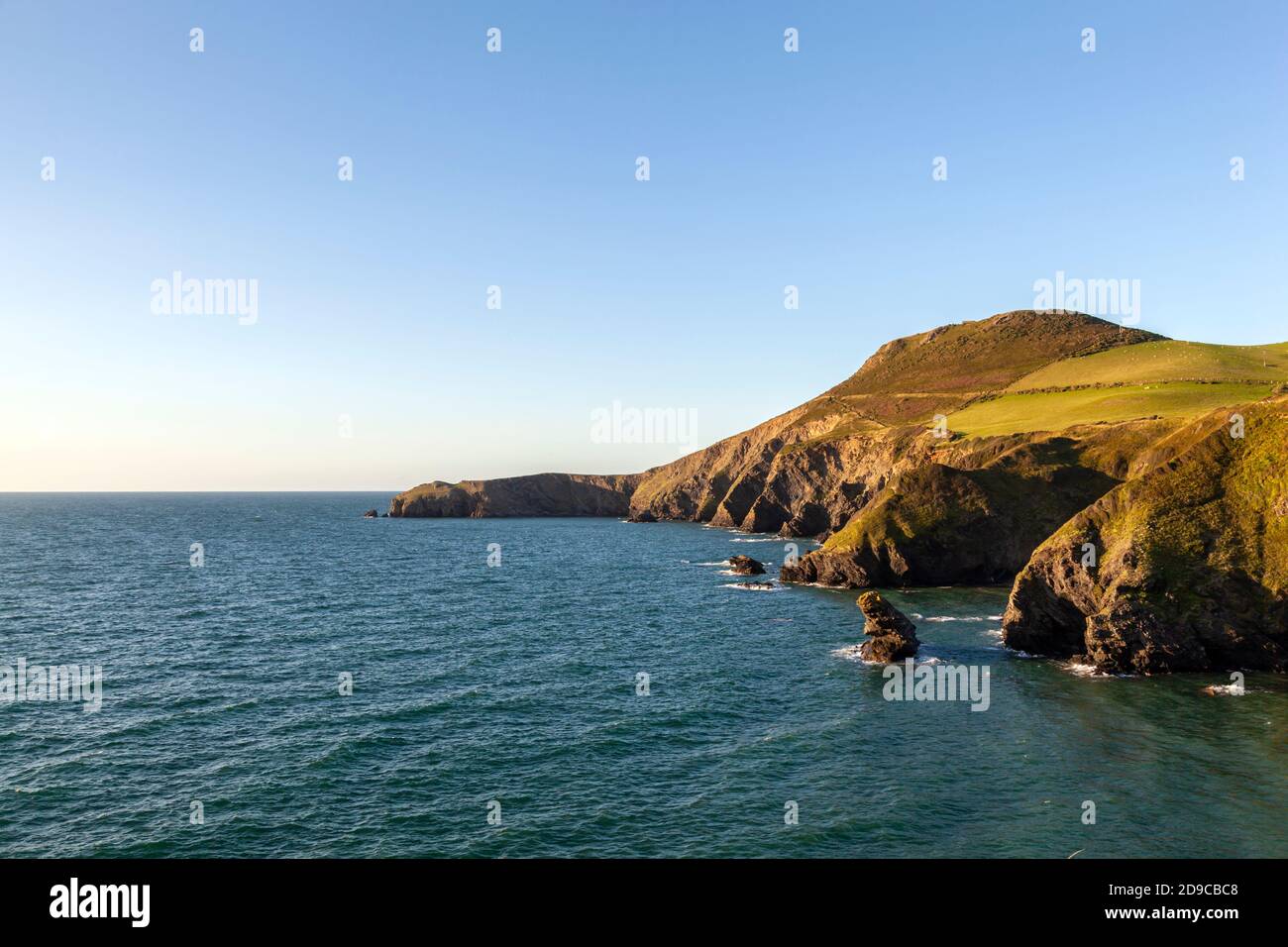Una vista di Ynys Lochtyn dalla cima della scogliera sopra LLangrannog, Ceredigion, Galles Foto Stock