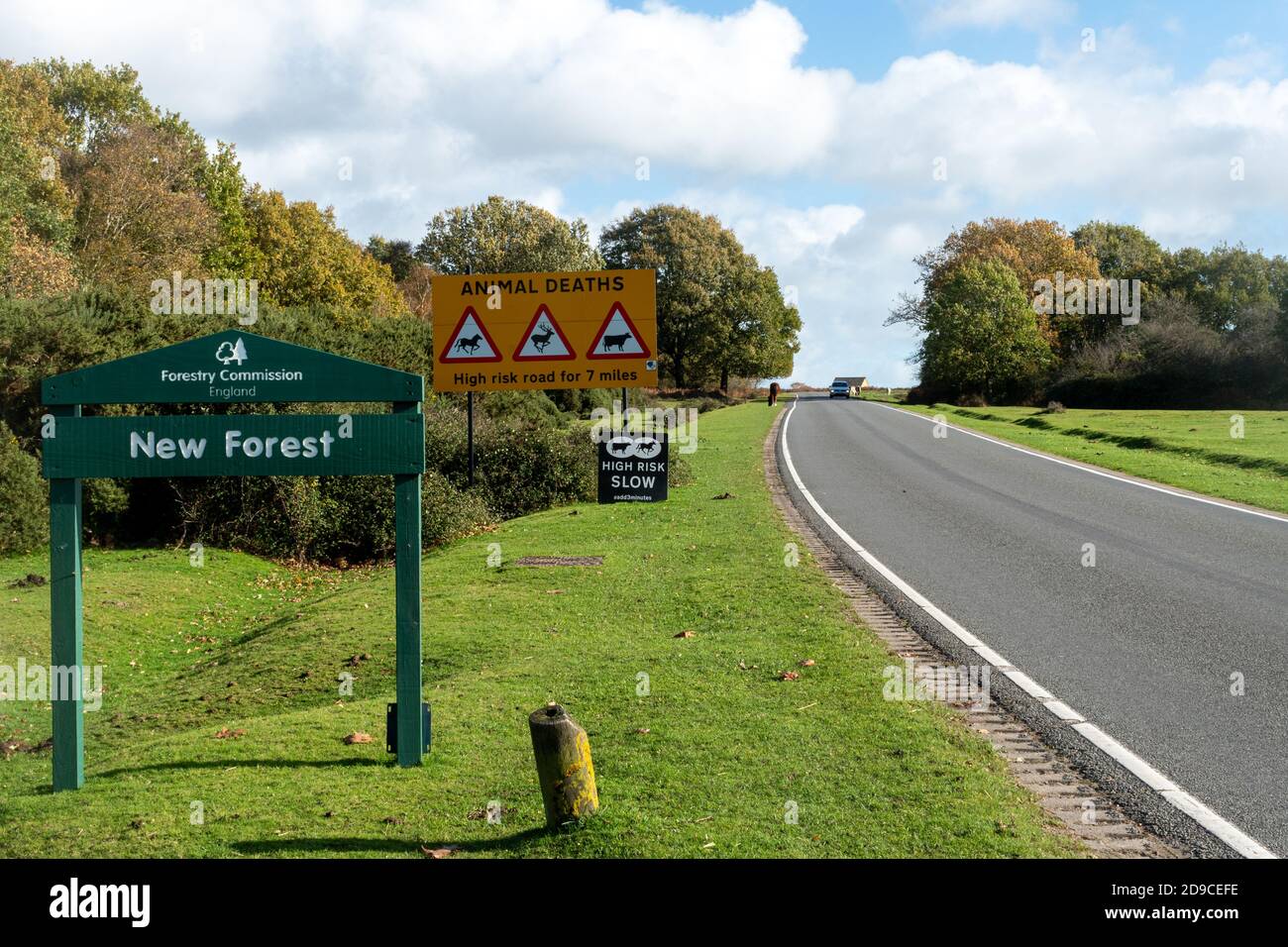 Segnaletica stradale nel Parco Nazionale della New Forest avviso di morti animali sulla strada, strada ad alto rischio, Hampshire, Inghilterra, Regno Unito Foto Stock