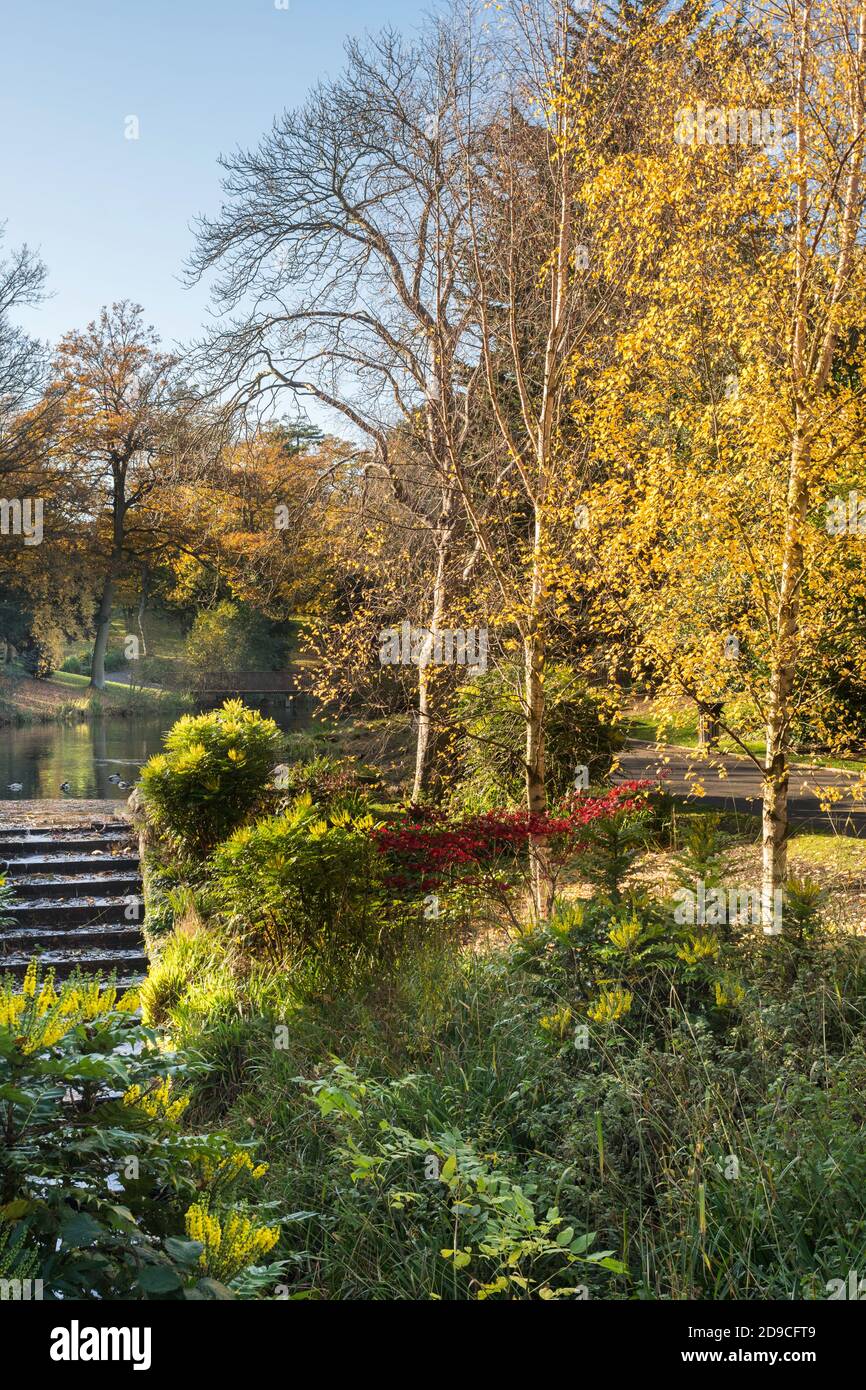 Colore autunnale nel Barnes Park, Sunderland, Inghilterra, Regno Unito Foto Stock