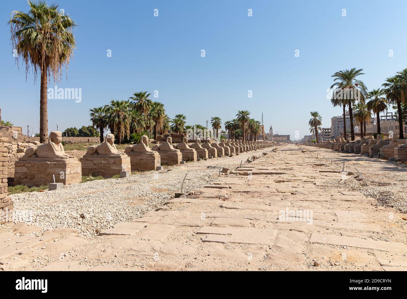 Sfingi strada in entrata al Tempio di Luxor, un antico e grande tempio egizio complesso situato sulla riva orientale del Nilo nella città oggi noto Foto Stock