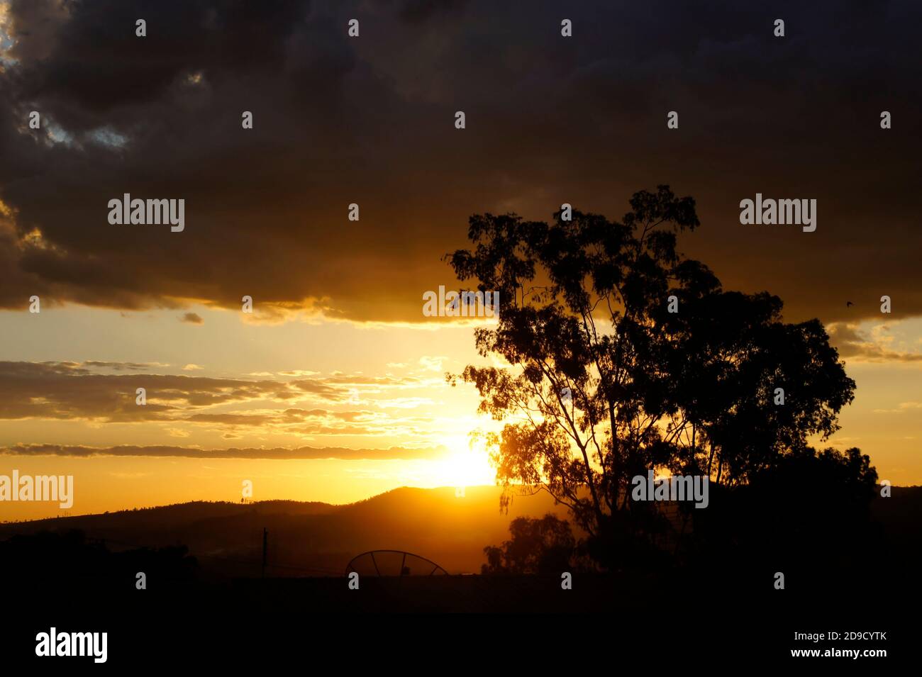 Tramonto albero e nuvole scena rurale in Brasile Foto Stock