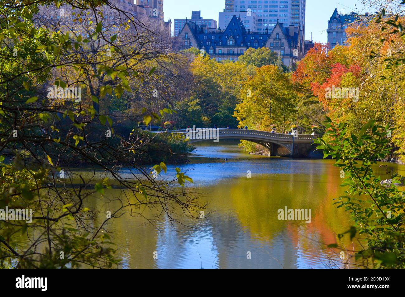 Autunno fogliame a Central Park a New York City il 4 novembre 2020. Foto Stock