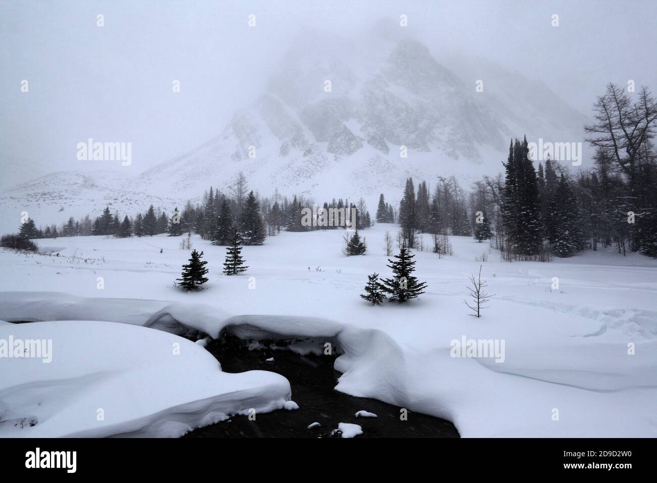 Stagioni in montagna Foto Stock