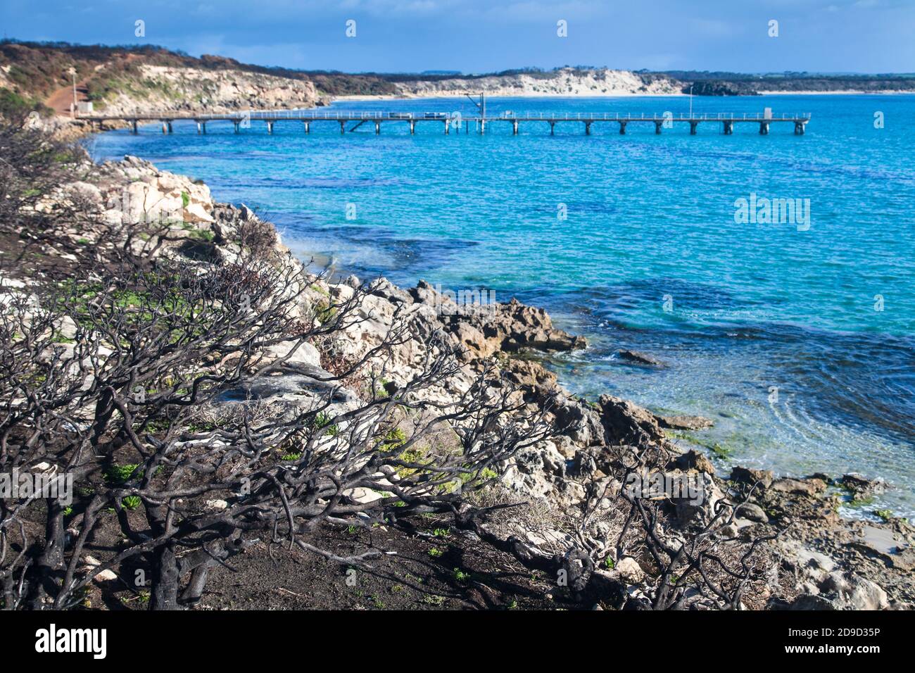 Molo di Vivonne Bay e vegetazione annerita dal fuoco, Kangaroo Island, Australia del Sud Foto Stock