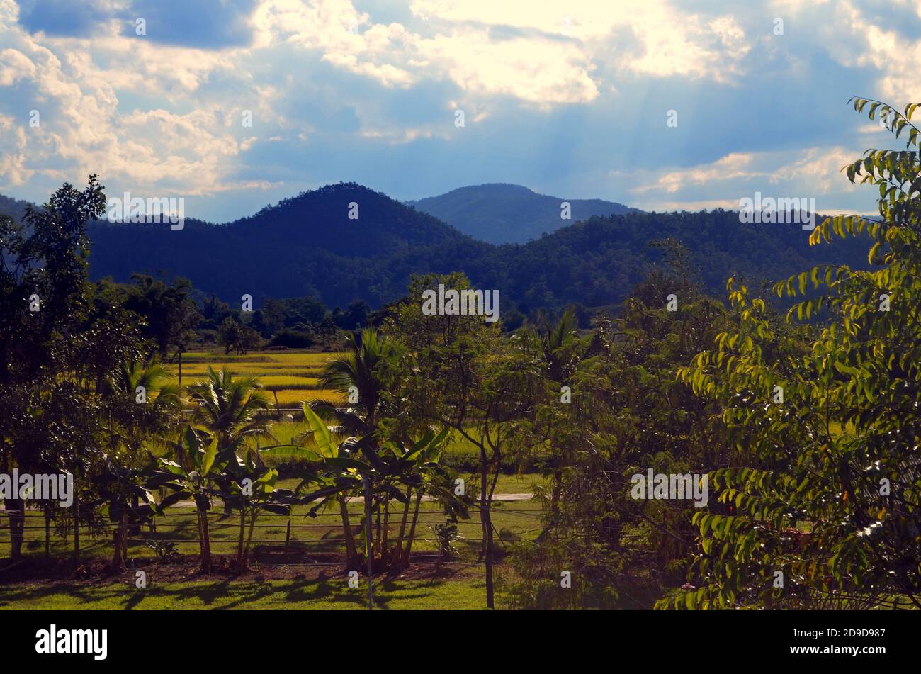 PAI, Thailandia - Countyside dei terreni agricoli Foto Stock
