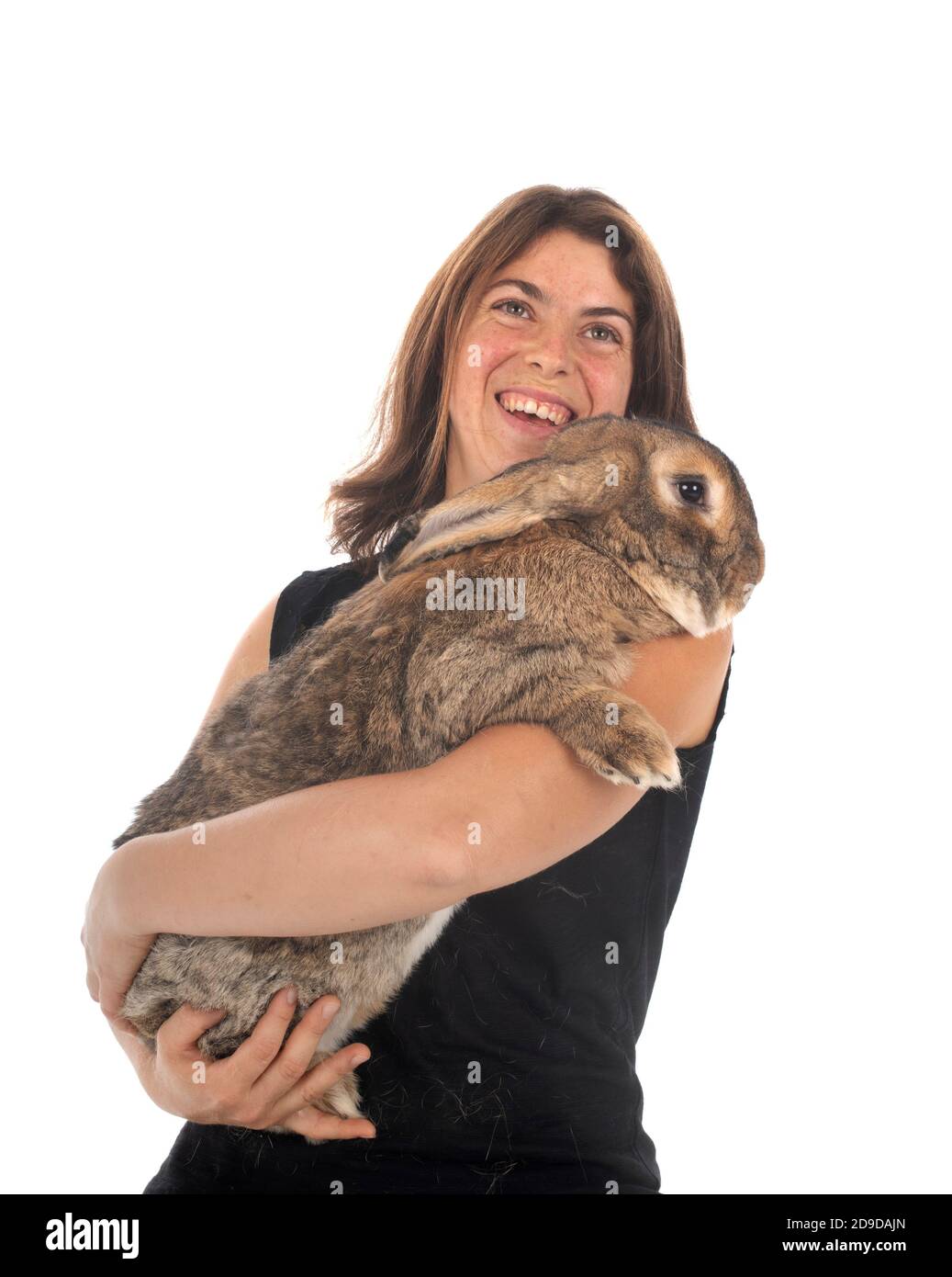 Fiammingo coniglio gigante e donna di fronte a sfondo bianco Foto Stock