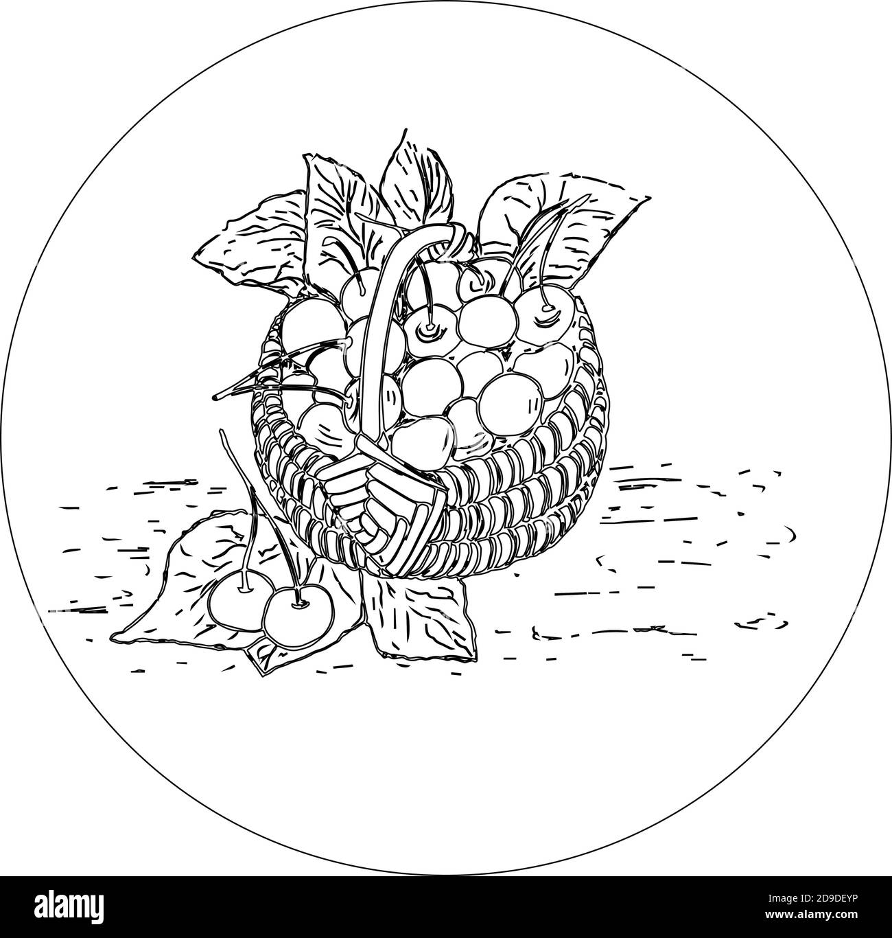 Cestino di ciliegie mature succose bacche dolci. Bacca dolce fresca. Dessert. Può essere utilizzato come emblema, logo, stampa Web, adesivo. Illustrazione Vettoriale