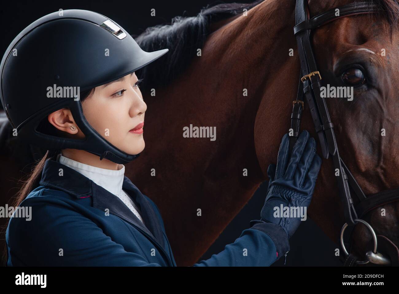 La giovane donna a placare i cavalli Foto Stock