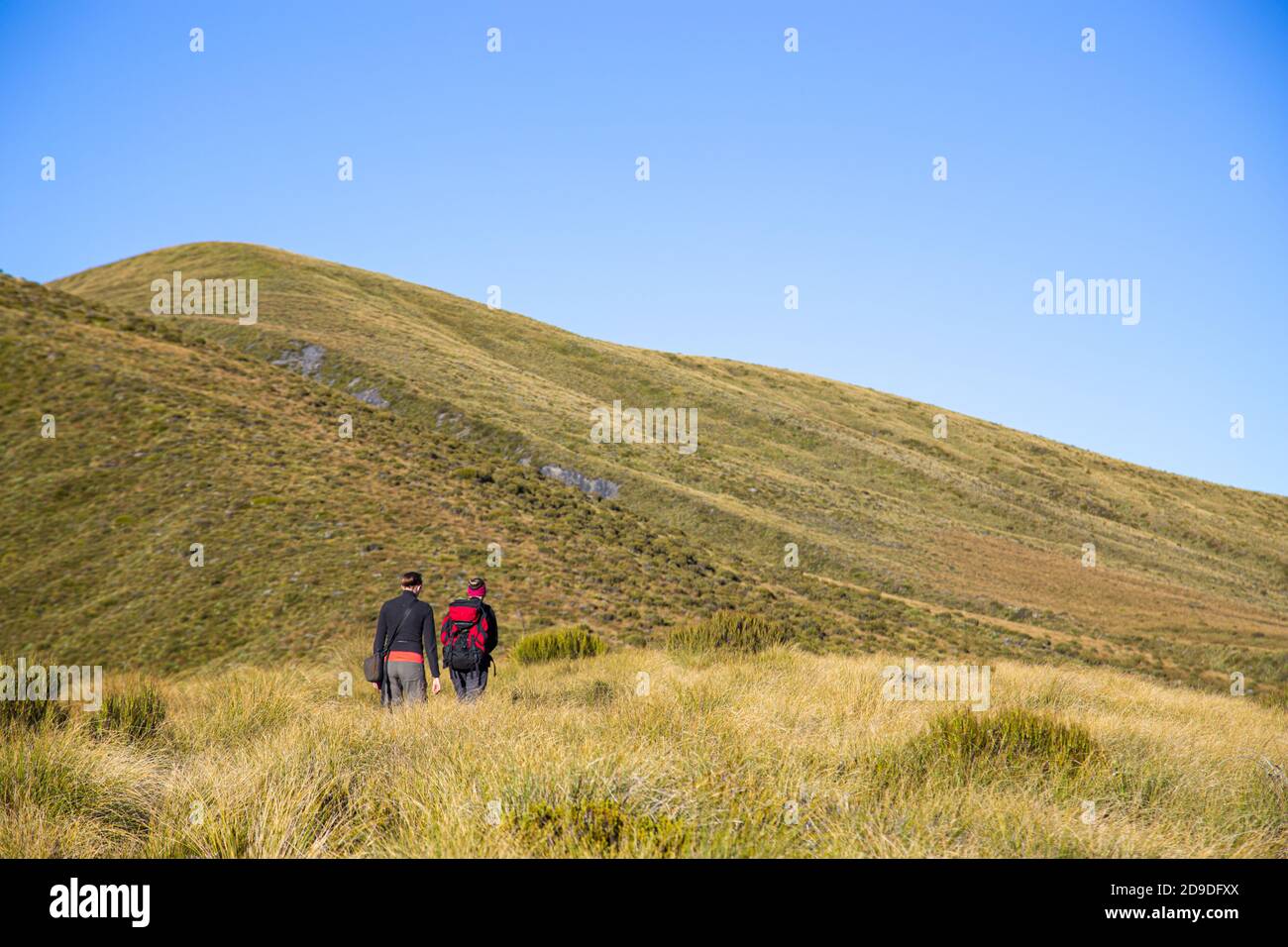 Escursionisti nel Parco Nazionale di Kahurangi, Nuova Zelanda Foto Stock