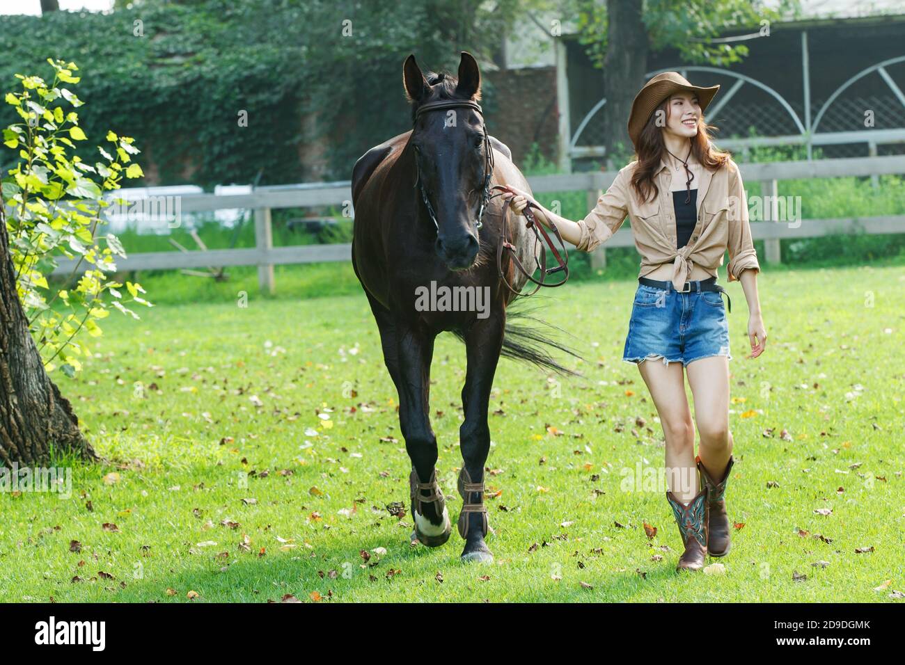 Outdoor felice giovane donna il cavallo Foto Stock