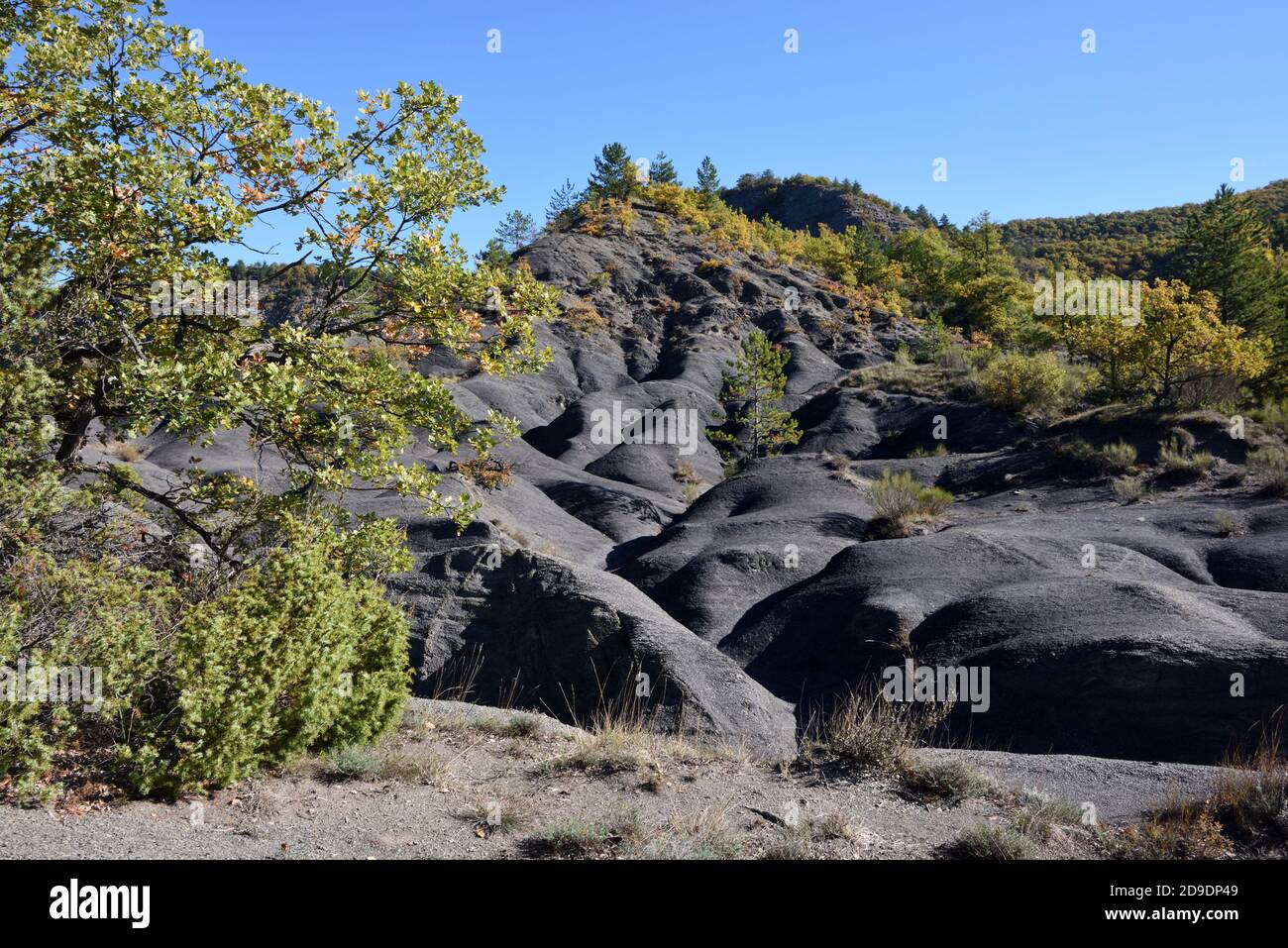 Black Marl, marlstone o Black Shale formazioni conosciute come Robines nel Geopark alta Provenza vicino Digne-les-Bains Alpes-de-Haute-Provence Francia Foto Stock