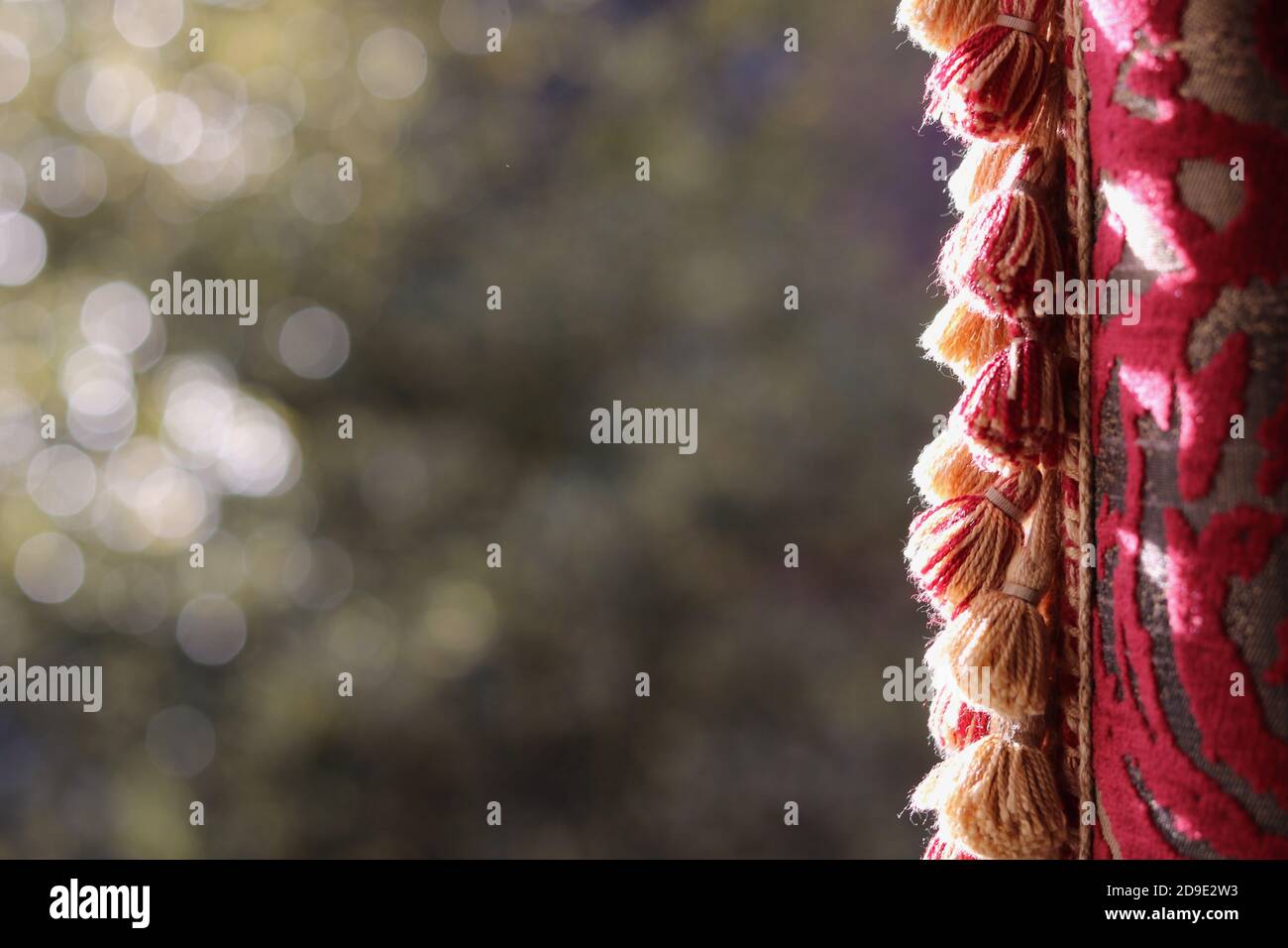 Vista del giardino fuori dalla finestra con pesante broccato frangiato tenda a lato Foto Stock