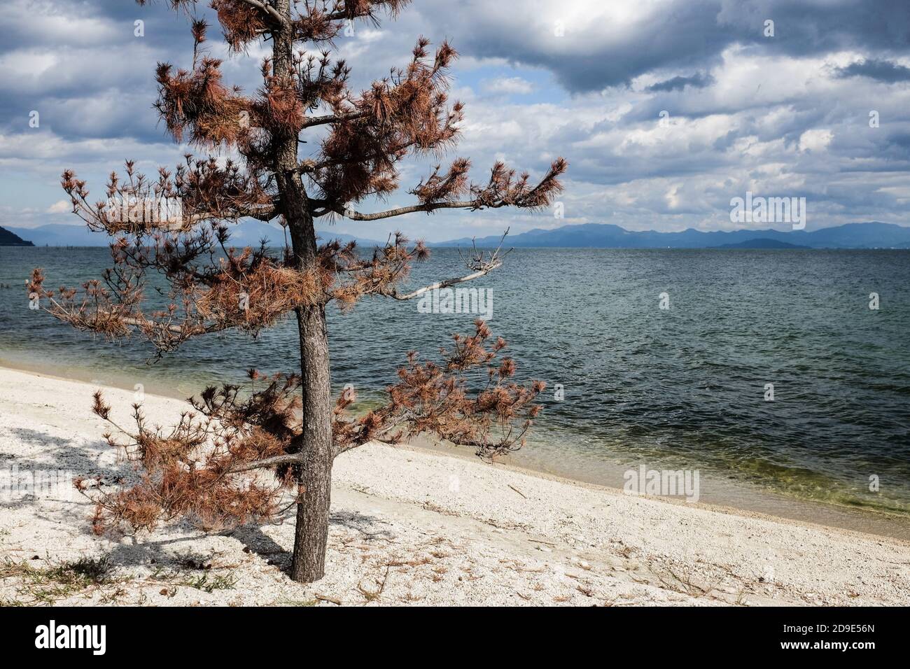 Lago Biwa (Biwako) nella prefettura di Shiga, Giappone. Foto Stock