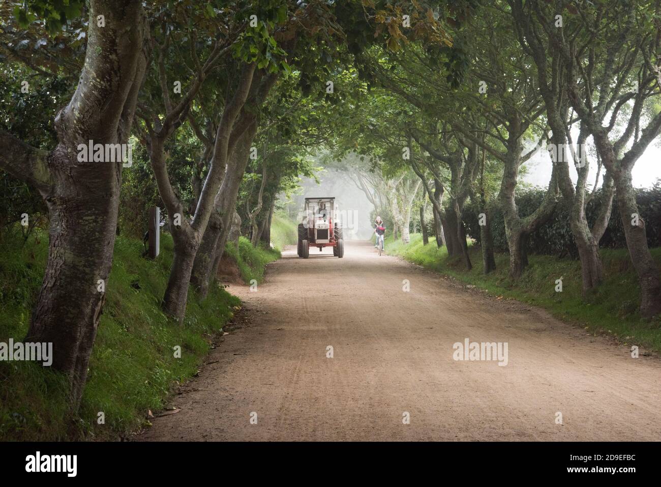 Isola di Sark - No auto solo trattori, biciclette e camminare! Foto Stock