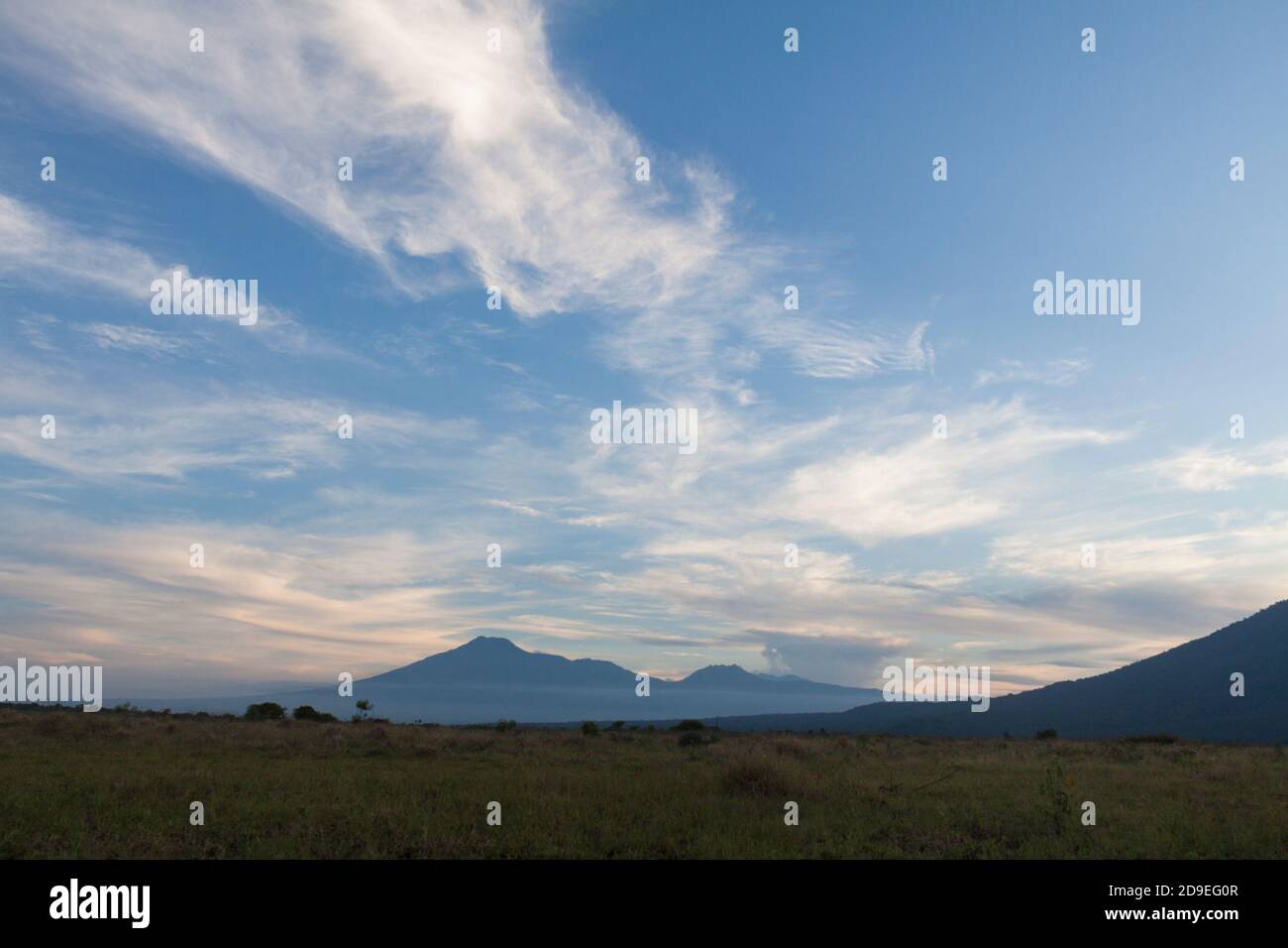 Savana Bekol è un punto di osservazione della fauna selvatica nel Parco Nazionale Baluran, Situbondo, Giava Orientale, Indonesia. Foto Stock