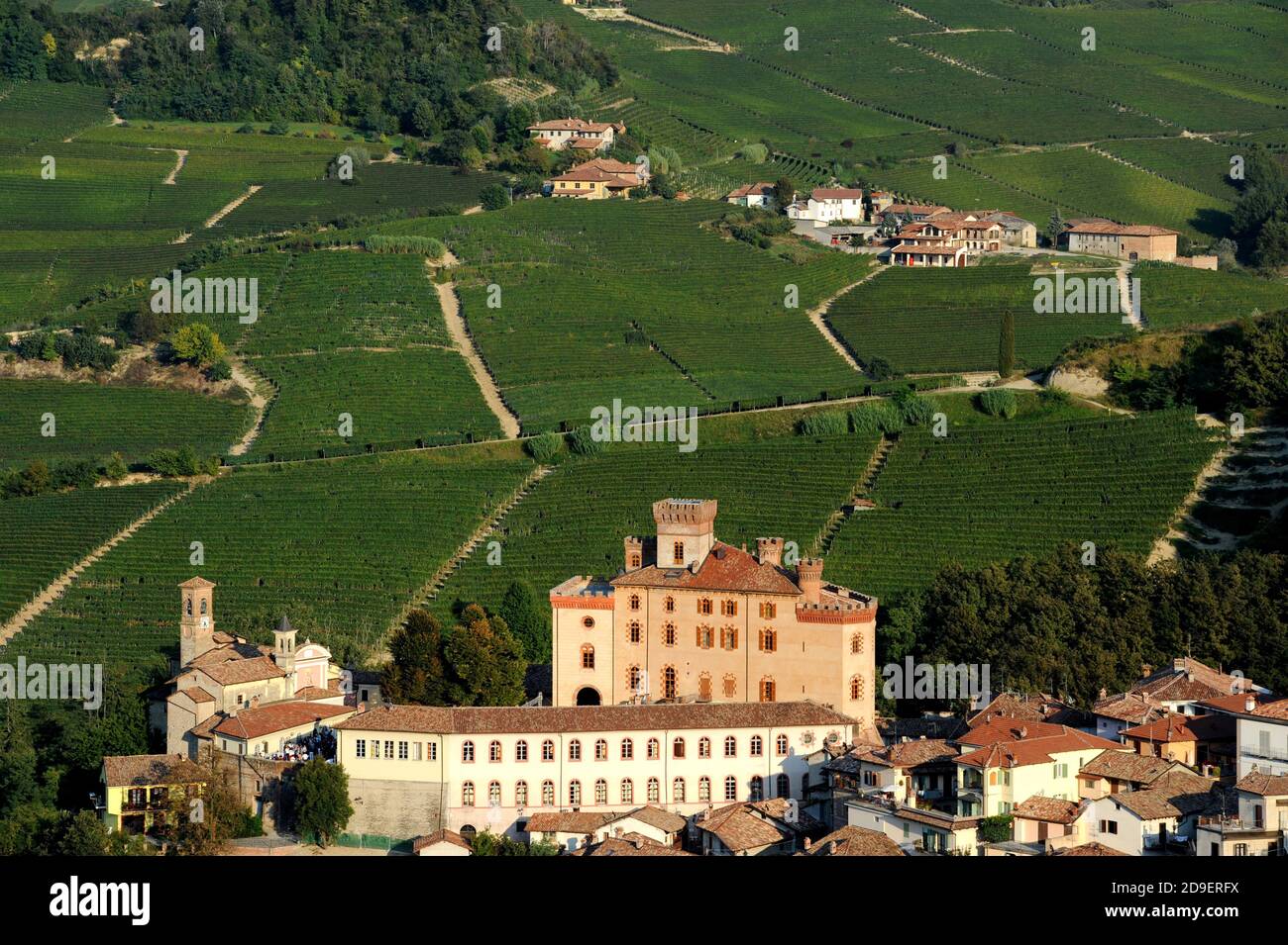 Il castello del Barolo circondato da vigneti del famoso Barolo, in Piemonte. Foto Stock