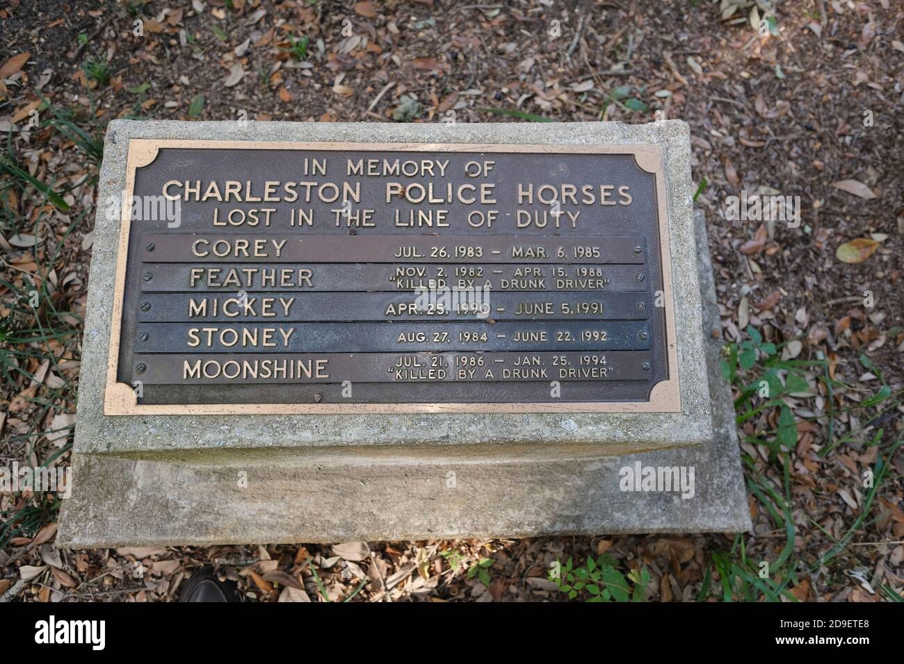 Statura di Danimarca Vesey e storici Marker che si sono bagnati alla guerra civile americana. Foto Stock