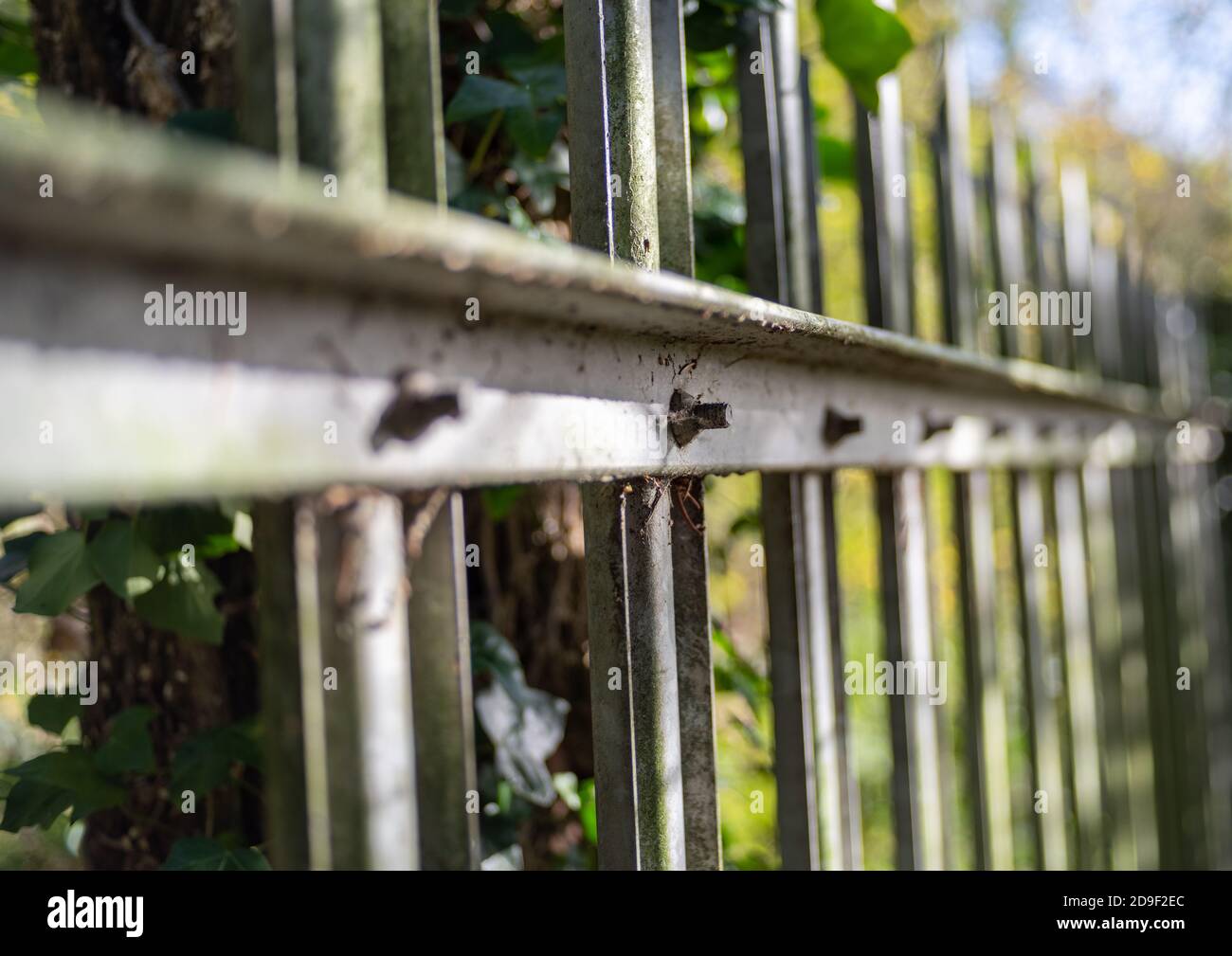 Vista lungo una recinzione palisata con profondità di campo poco profonda. Foto Stock