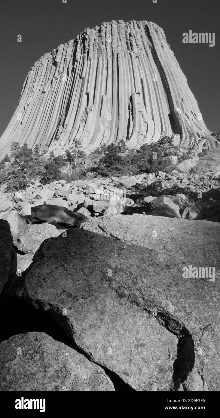Devils Tower, Wyoming. La Torre è un'incredibile caratteristica geologica che sporge dalla prateria che circonda le Black Hills Foto Stock
