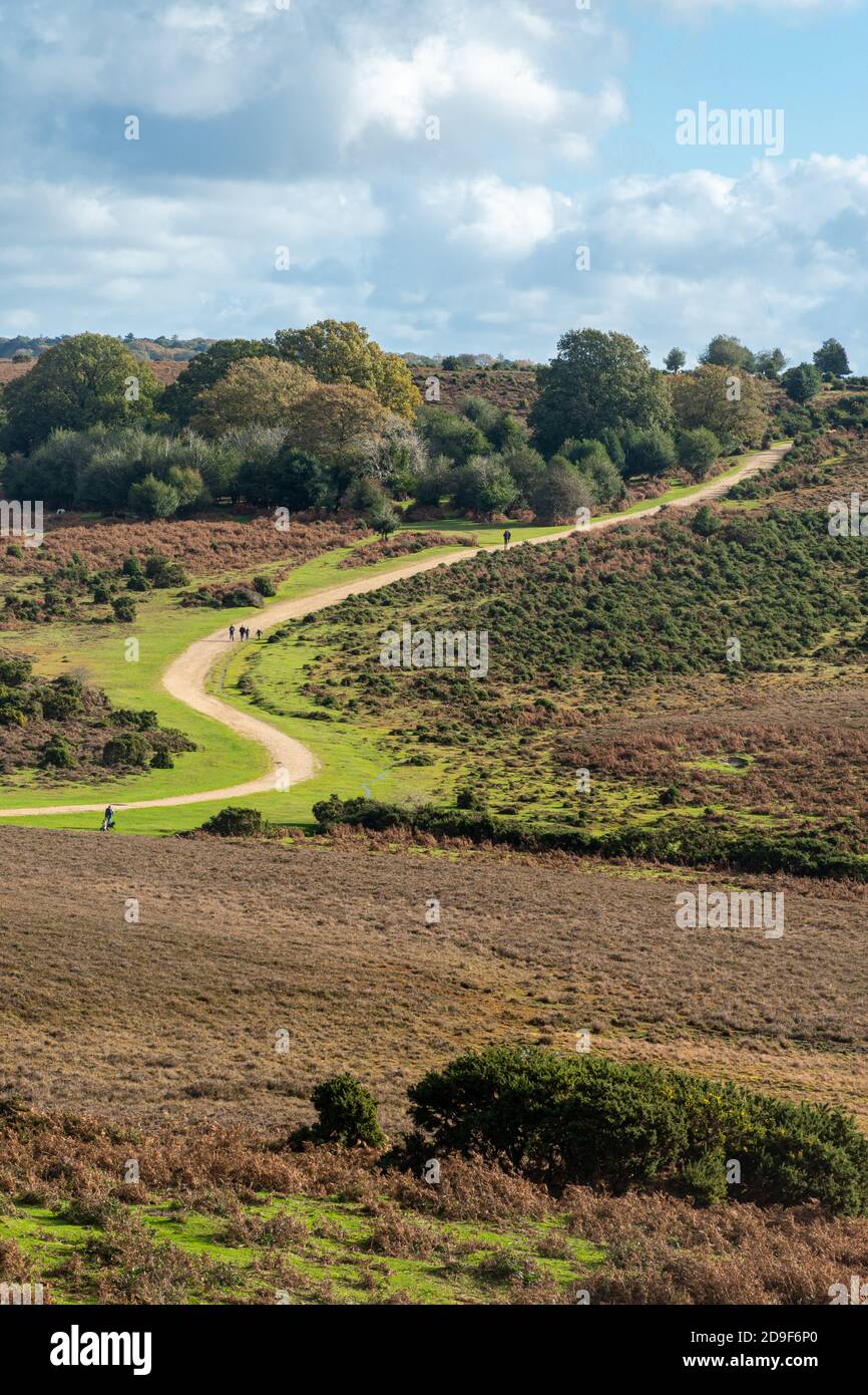 Percorso attraverso il paesaggio delle brughiera o paesaggio a Ashley Walk nel New Forest National Park, Hampshire, Inghilterra, Regno Unito Foto Stock