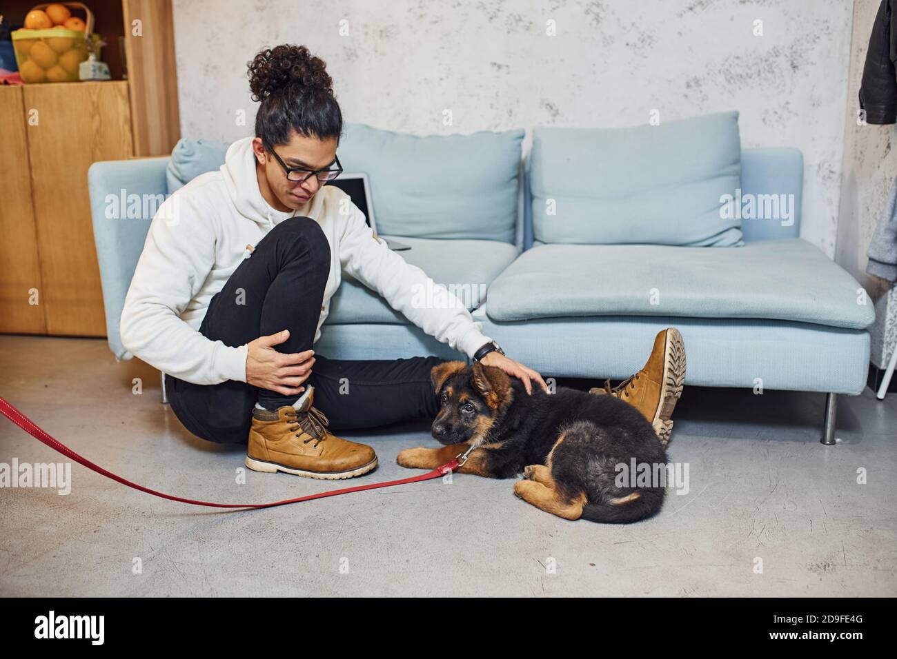 Bell'uomo giovane con capelli neri ricci in interni con cute cane Foto Stock