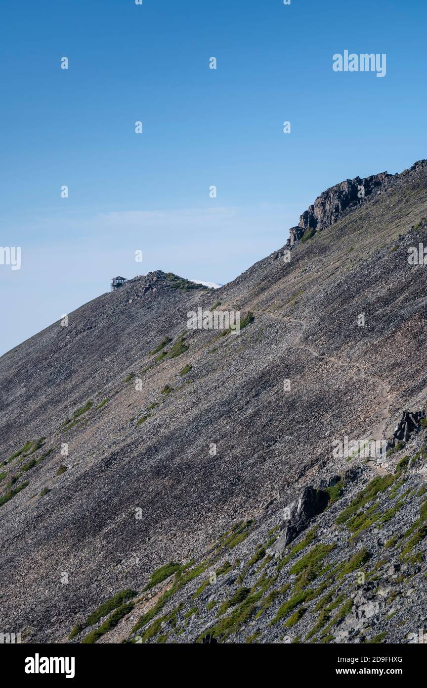 Sentiero di montagna sopra la linea degli alberi al Parco Nazionale Rainier Sulla strada per il Fremont Lookout Foto Stock