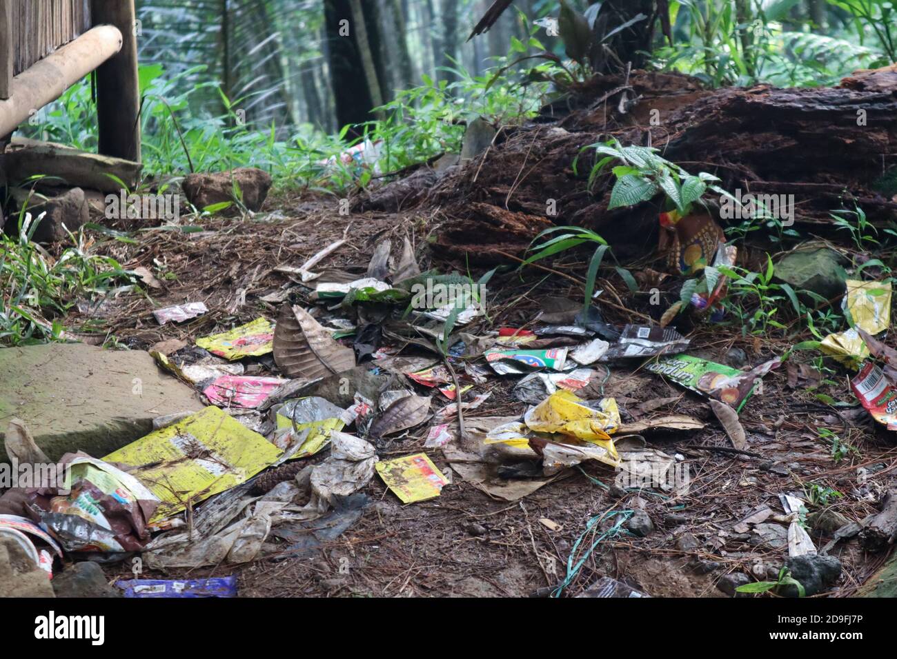 Bogor / Indonesia - 18 ottobre 2020. Mucchi di rifiuti in un giardino di pini che è disinvolto dai visitatori Foto Stock