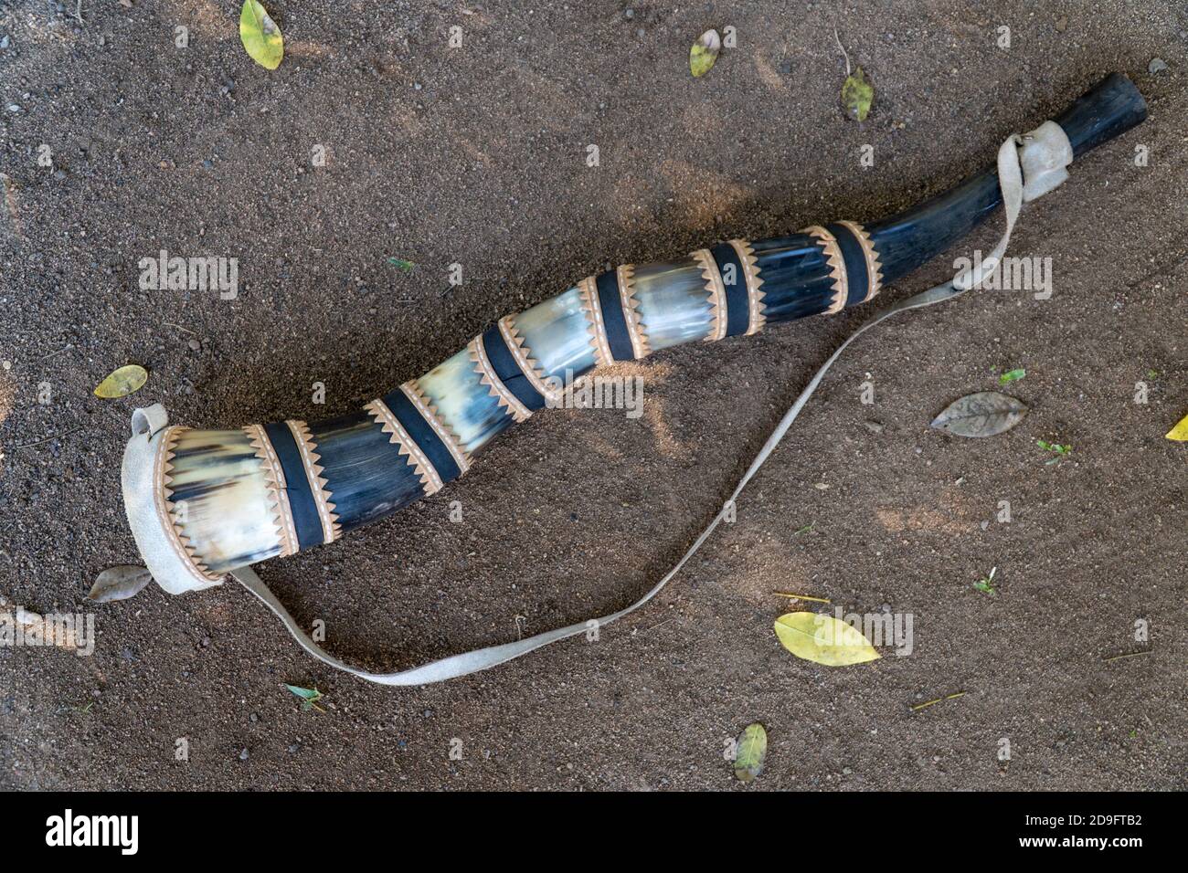 Primo piano di corno fatto a mano, berrante , da Pantanal. Lo strumento viene utilizzato per emettere forti segnali acustici da parte dei cowboy per portare bestiame in Brasile. Foto Stock