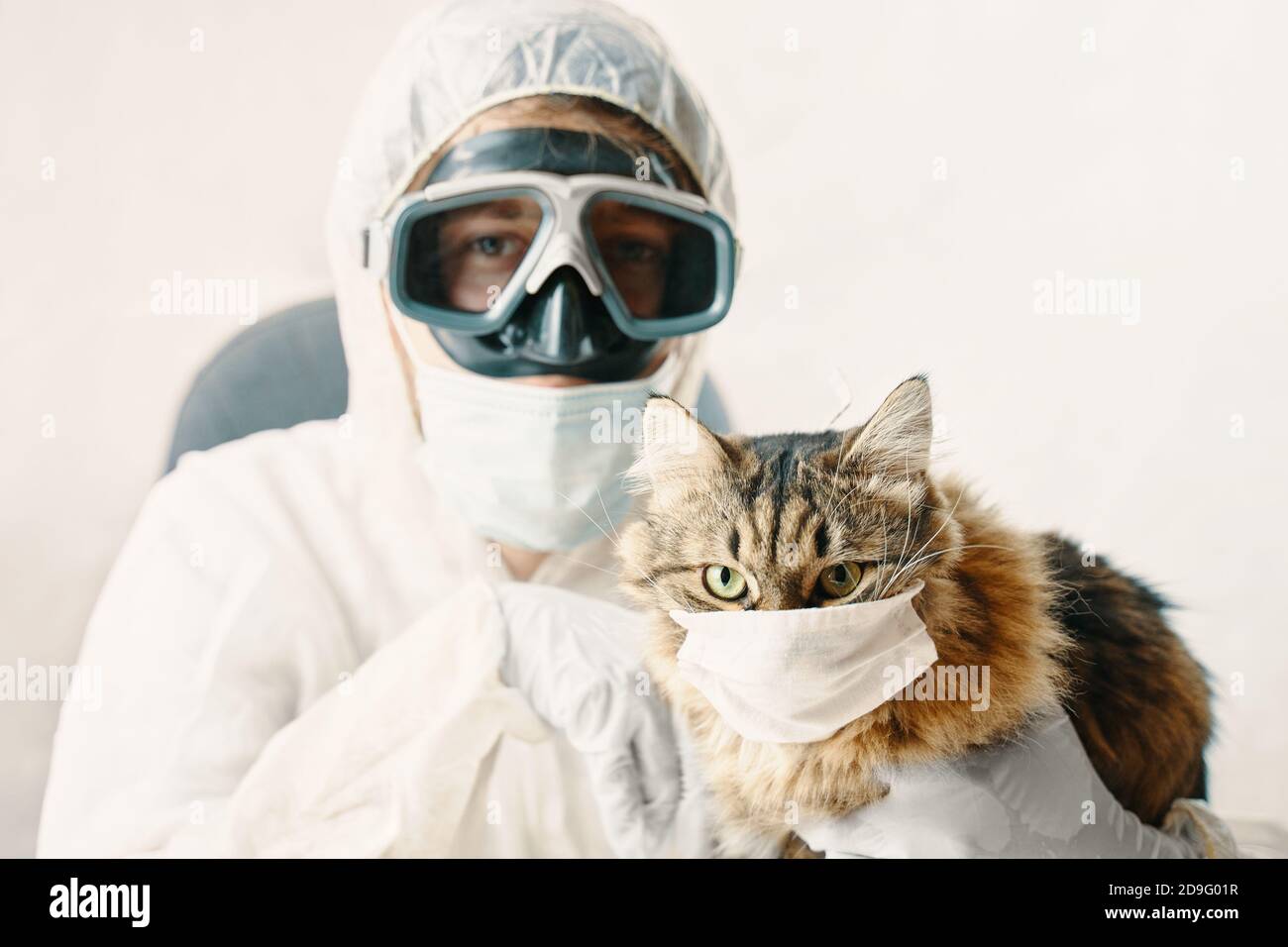 Medico e Kitty è sicuro dal coronavirus. Cat in maschera di protezione. Foto Stock