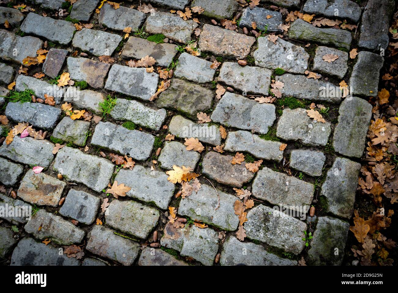 vecchia strada in pietra di mattoni con muschio verde Foto Stock