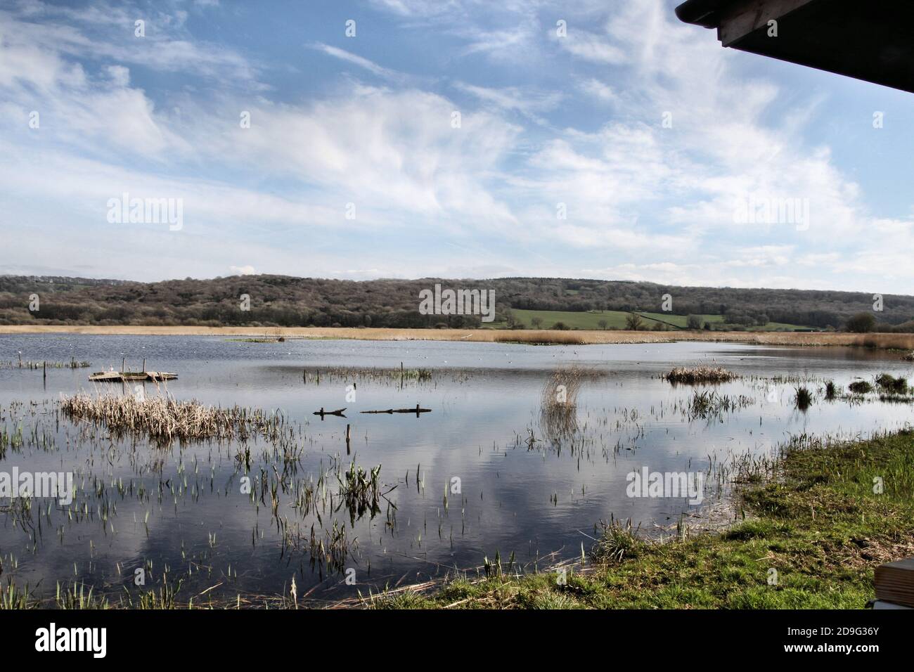 Una vista di Leighton Moss Riserva Naturale Foto Stock