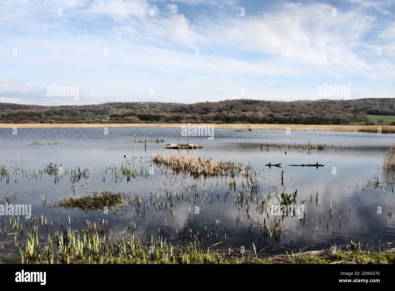 Una vista di Leighton Moss Riserva Naturale Foto Stock
