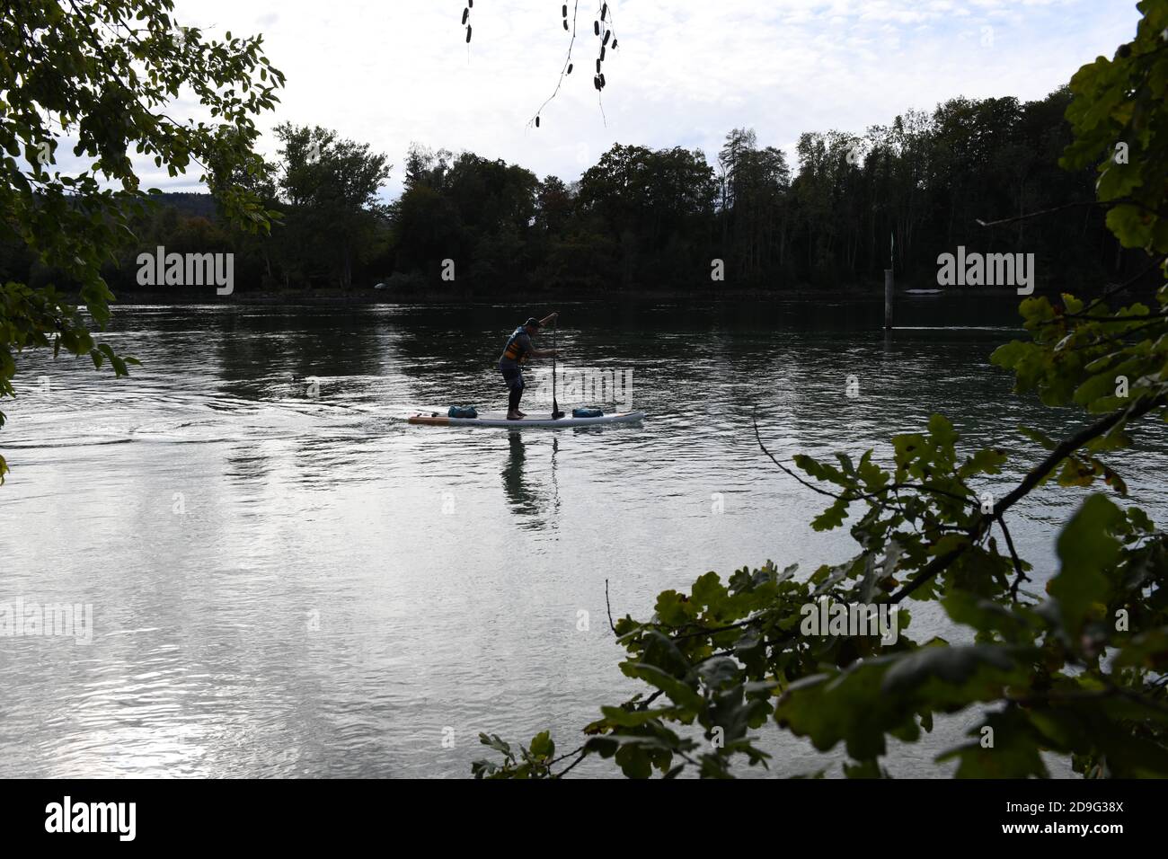 Uomo che paddling su un SUP lungo il fiume Reno in Svizzera Foto Stock