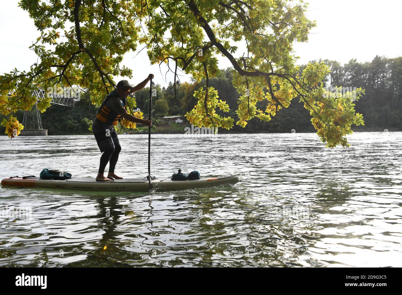 Uomo che paddling su un SUP lungo il fiume Reno in Svizzera Foto Stock Uomo che paddling su un SUP lungo il fiume Reno in Svizzera Foto Stock