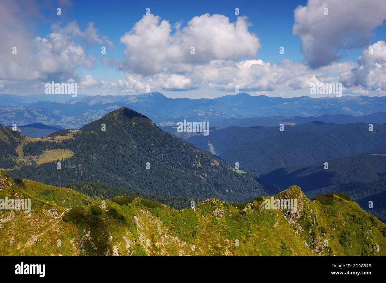 Paesaggio estivo in montagna in una giornata limpida Foto Stock