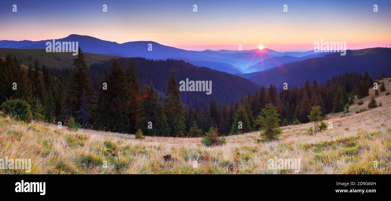 Alba in montagna. Panorama montano con la foresta e il sole nascente Foto Stock