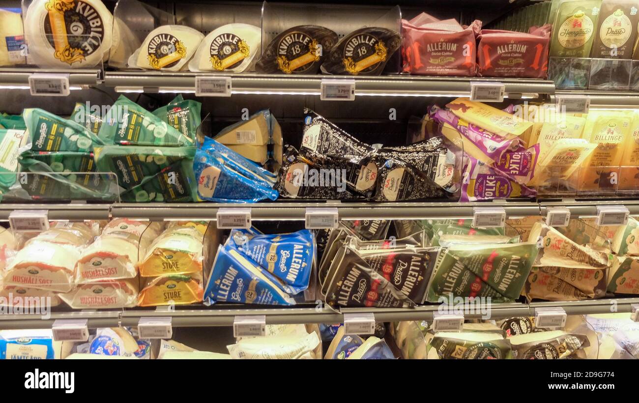 Grandi varietà di formaggi svedesi nel frigo del negozio di alimentari Foto Stock