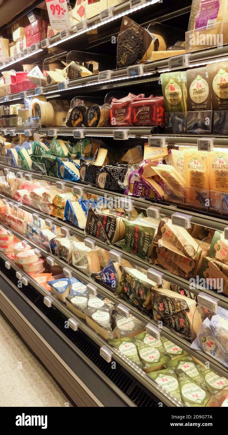 Grandi varietà di formaggi svedesi nel frigo del negozio di alimentari Foto Stock