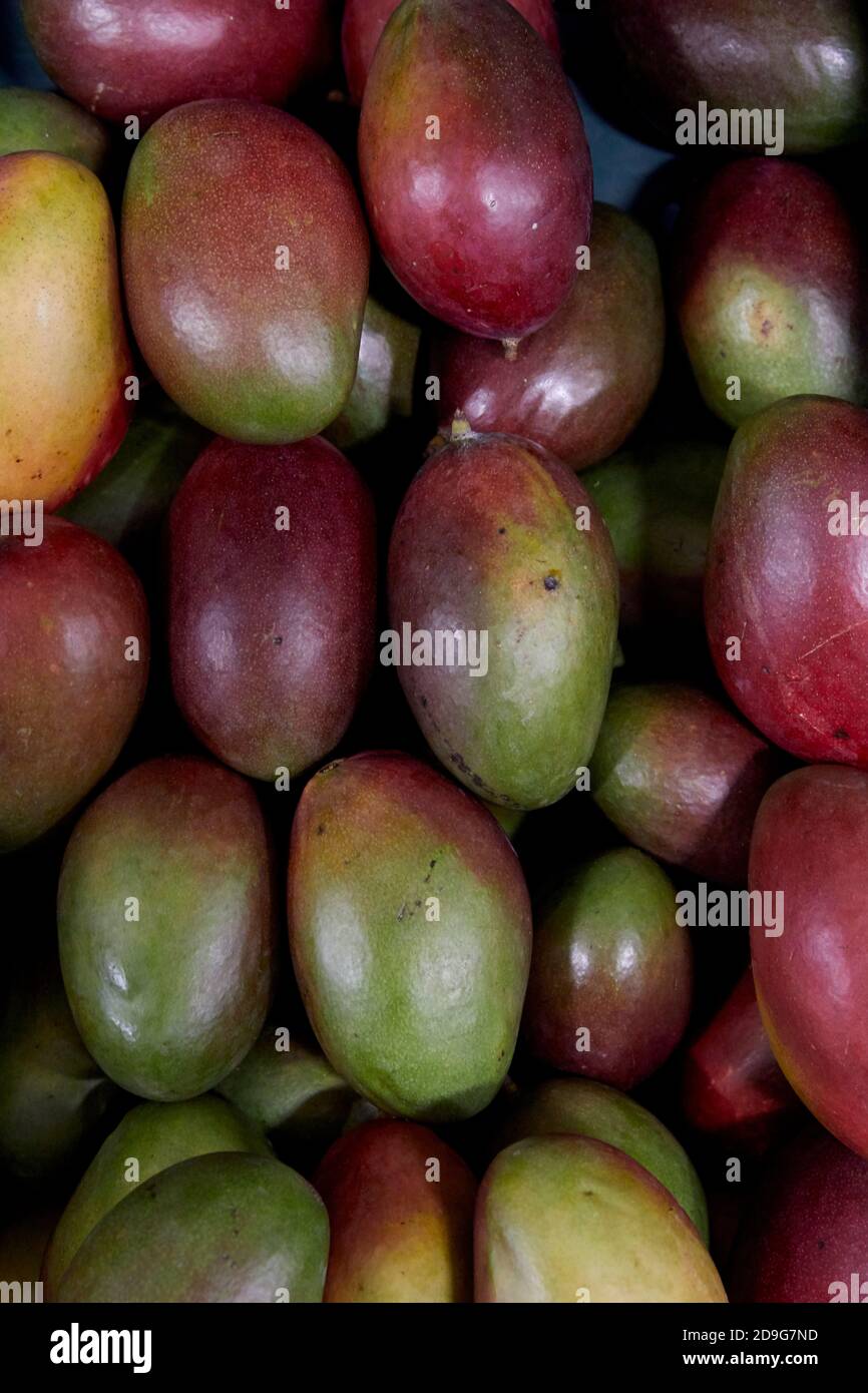 Mangos Foto Stock