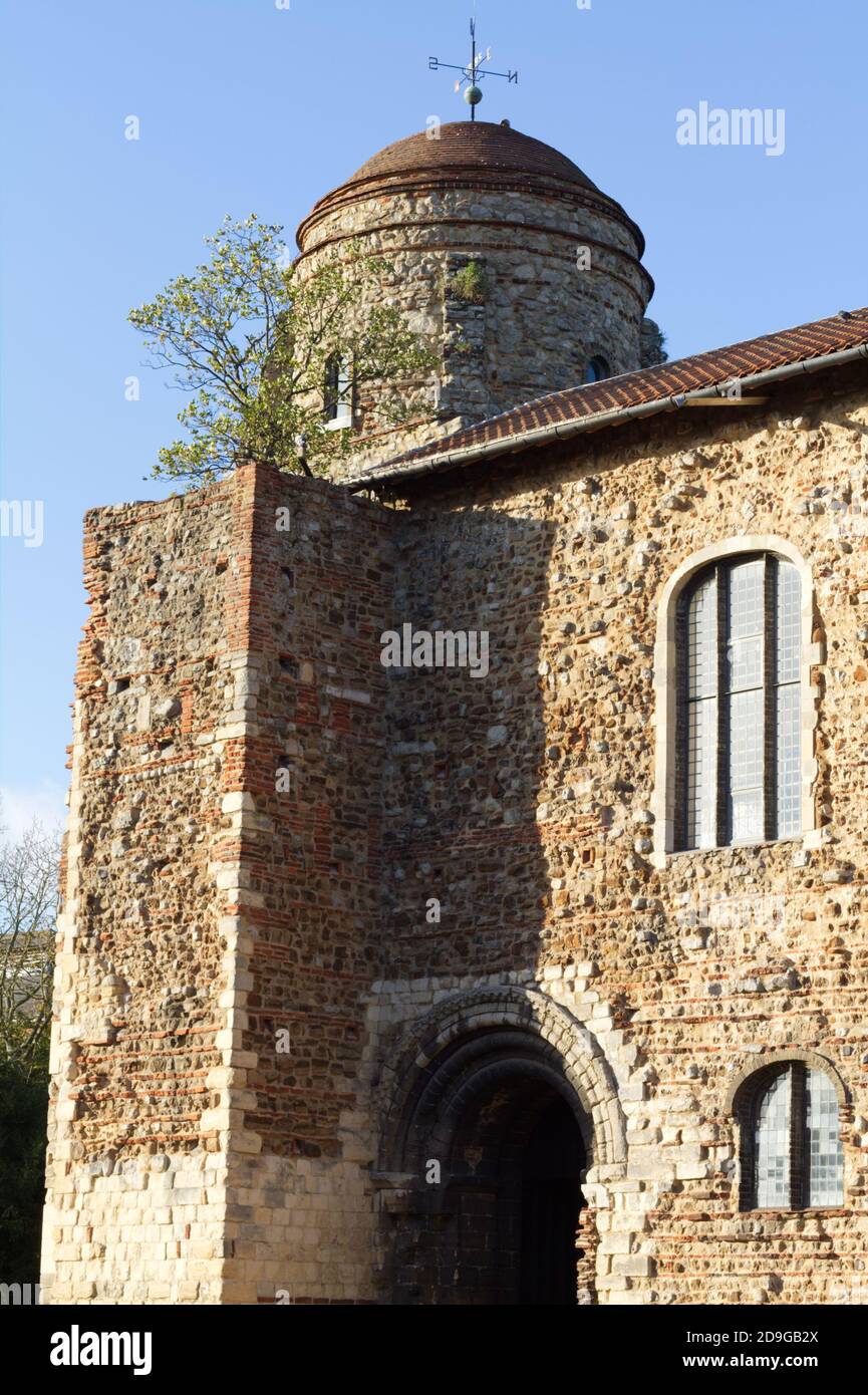 Torre sud ovest del Castello di Colchester in Essex con sycamore albero che cresce in cima Foto Stock