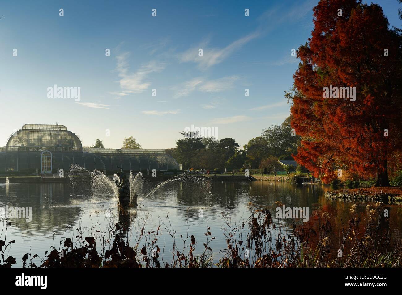 Londra, Regno Unito. Giovedì 5 novembre 2020 Kew Gardens a Londra il primo giorno di un secondo blocco nel Regno Unito a causa del coronavirus. Foto: Roger Garfield/Alamy Live News Foto Stock