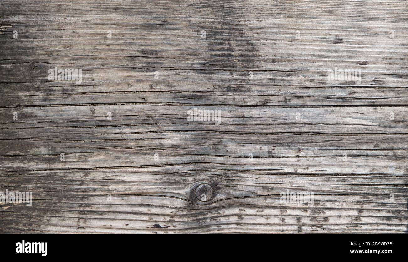 Sfondo di tessitura di legno. Vista dall'alto del tavolo in legno d'epoca con crepe. Superficie grigio chiaro di legno antico di colore naturale Foto Stock