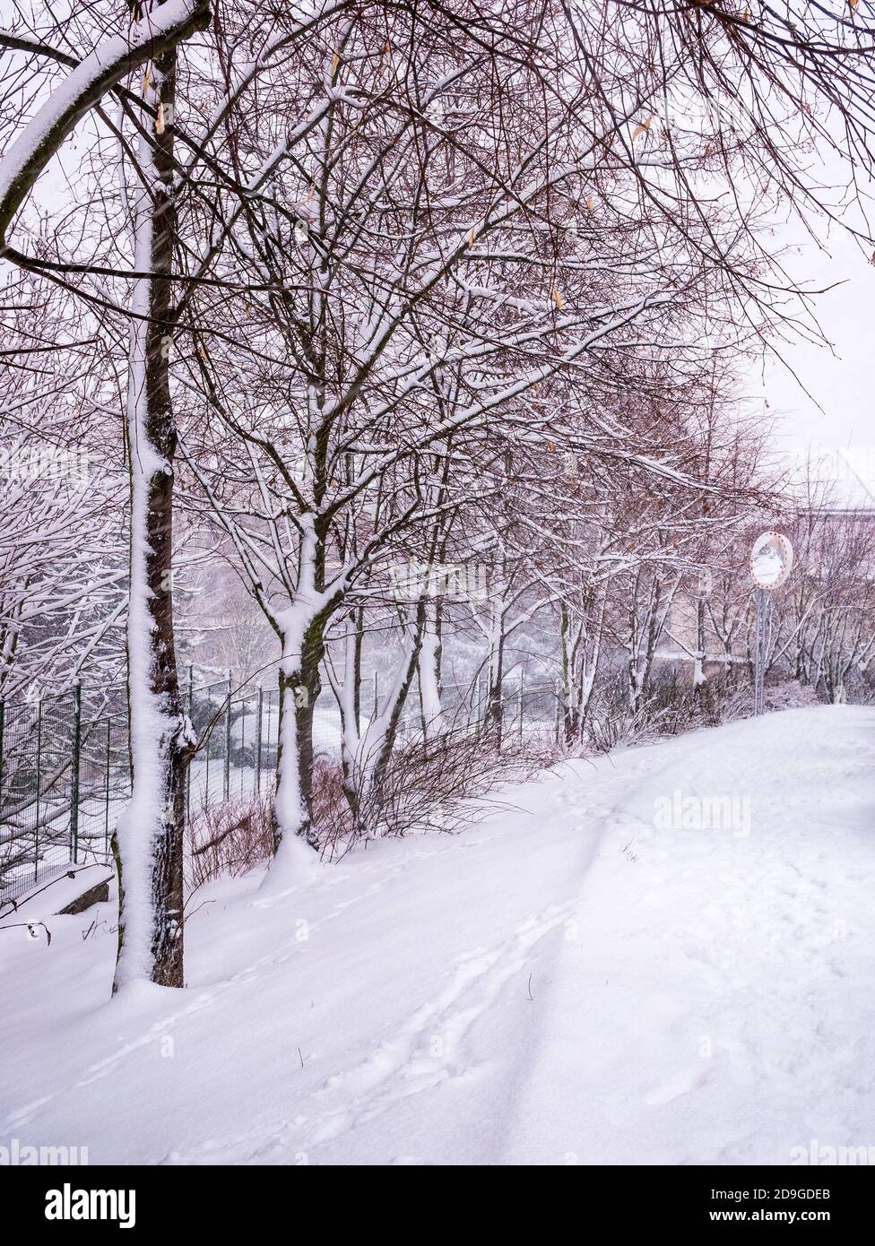 Scena invernale con una passerella e alberi ricoperti di neve - - nevicate catturate in movimento Foto Stock