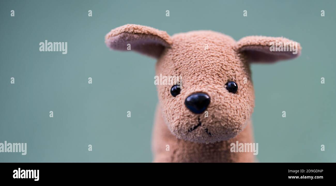 Carino cane peluche su sfondo verde Foto Stock