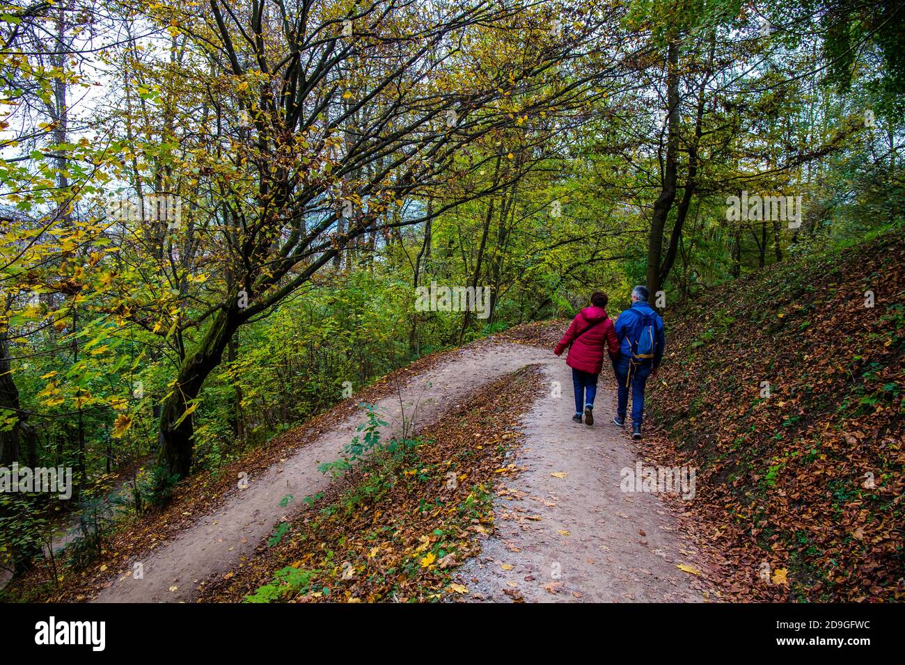 La gente che cammina da sentiero escursionistico in foresta. Foto Stock