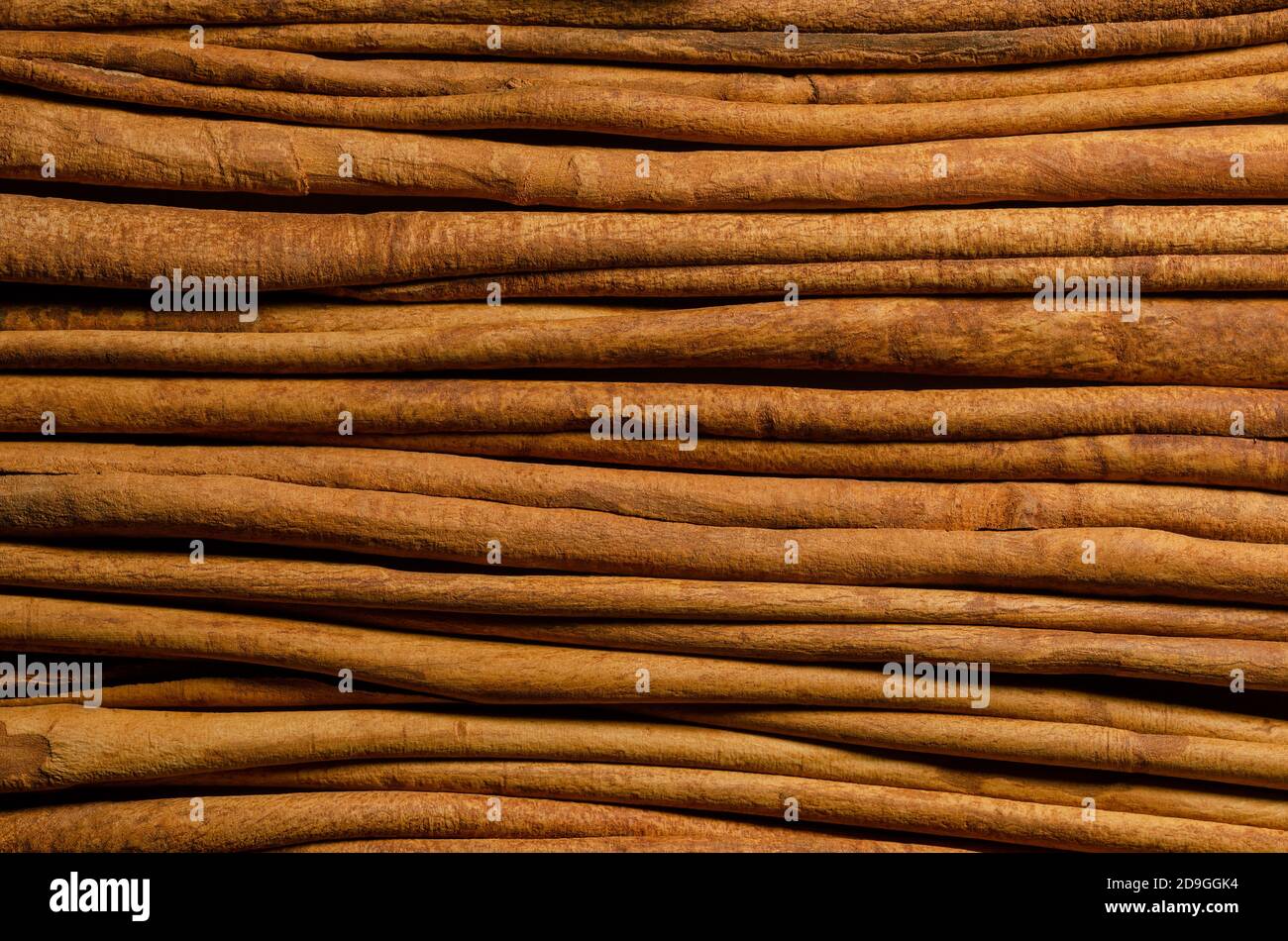 Corteccia di cannella essiccata strisce di sfondo. Una spezia bruna dalla corteccia interna di Cinnamomum verum, il vero albero della cannella. Condimento aromatico. Foto Stock